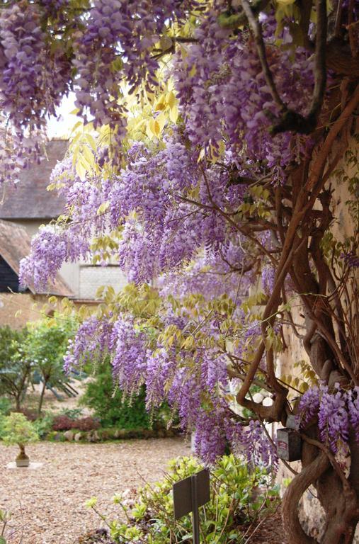 夏瑟里住宿加早餐旅馆 La Croix-Saint-Leufroy 外观 照片
